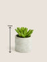 Marks & Spencer "Artificial Mini Succulent in Concrete Pot"